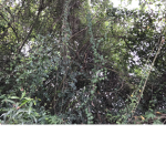 tuyen1992yhgi