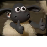 Timmy Co.