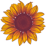 Sunflower :D