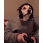 JayGangZPower