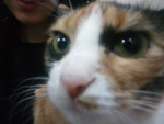 muslug