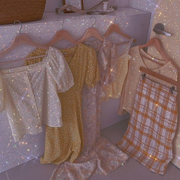 ✨