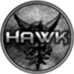 Team H.A.W.X Air force division