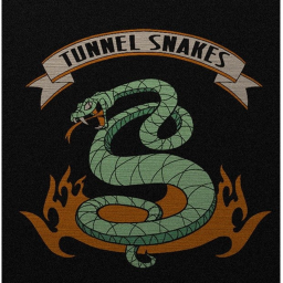 Tunnel Snake Training Place