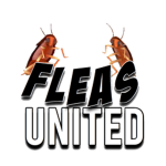 Fleas United!