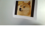the doge lord
