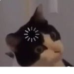 capitan xd