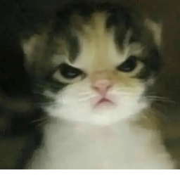 40%