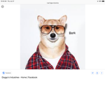 Doggo King Boi Group