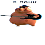 Bersik_pomeranian