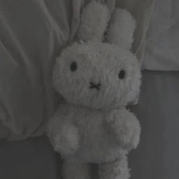 /ᐠ - ˕ -マ Ⳋ icon