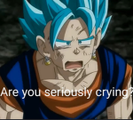 dragonball fans group