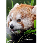 Rukus