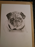 Pugsville