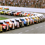 NASCAR Professional Trainer