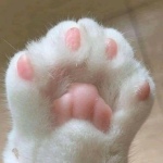 qwq...awita