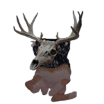 Forest Monster Bingus