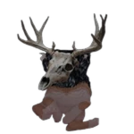 Forest Monster Bingus