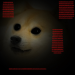 The doge creeps