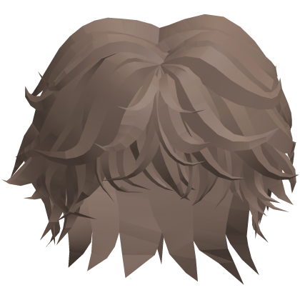 Boy Fluffy Brown Hair Roblox item
