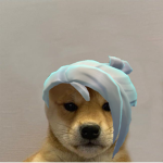 666 新 ドラゴン