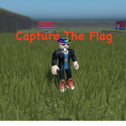 Capture The Flag!
