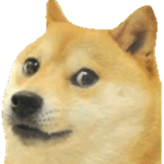 da doge gang