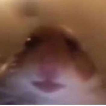 Omega super puper cart ride