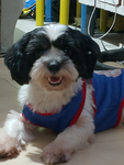 Ohh Hello! Buddy :o