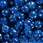 Cobalt Embassy