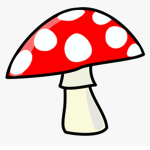 Mushroom Soup ~