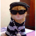 Yourfavcat