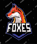 fox5 gang