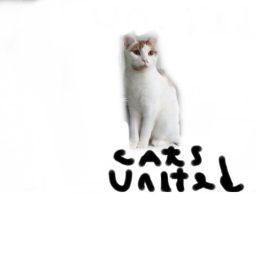 😺Cats Base [RANKS!]