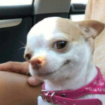 MrLucαs OFICIAL