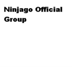 Official Lego Ninjago: Masters of Spinjitzu Group