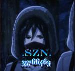.szn.