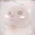 <ムーンダスト>
