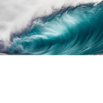 Sea Folks