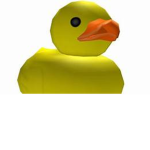 DUCK=COOL ARMY