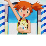 Pokémon misty fan group