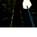 Cult Of Moth