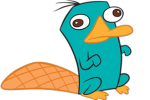 Perry the Platypus FanClub Offical