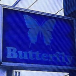 Farah's butterflies