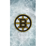 team crazy Boston fans