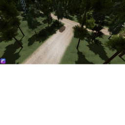 The forest