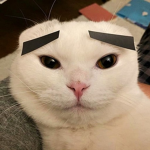 비글 소녀