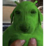 Official Slime Party