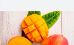 THE MANGO BASE FAN CLUB