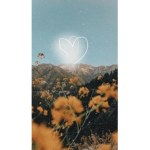dcvfbg